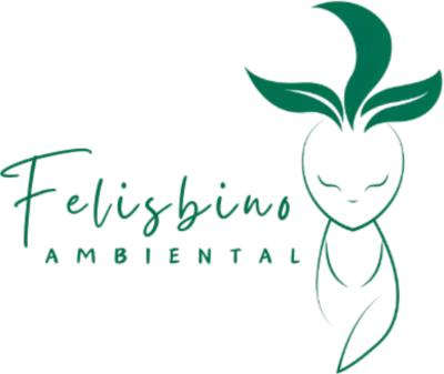 Felisbino Ambiental